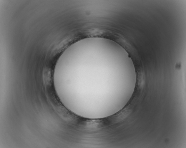 X0000113210378200910011326