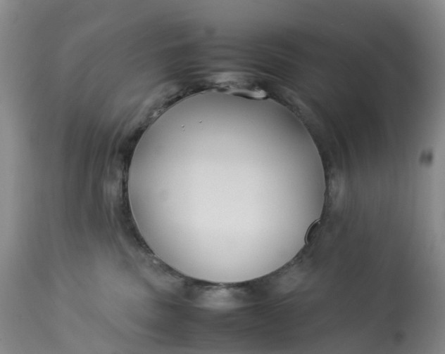 X0000113210379200910011326