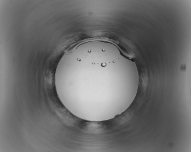 X0000113210380200910011326