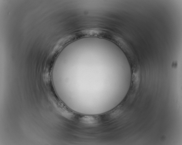 X0000113210381200910011326