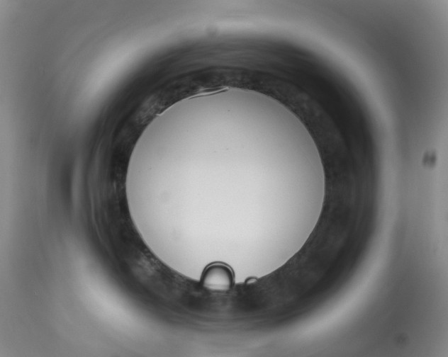 X0000113210382200910011326