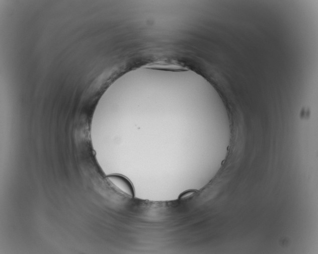 X0000113210384200910011326