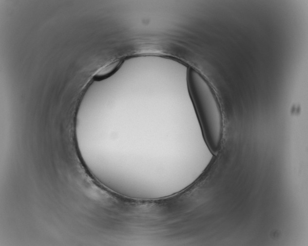 X0000113210385200910011325