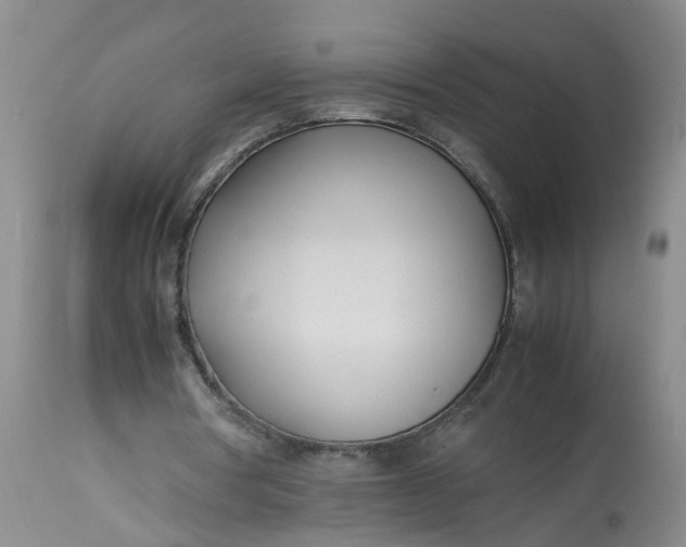 X0000113210386200910011325