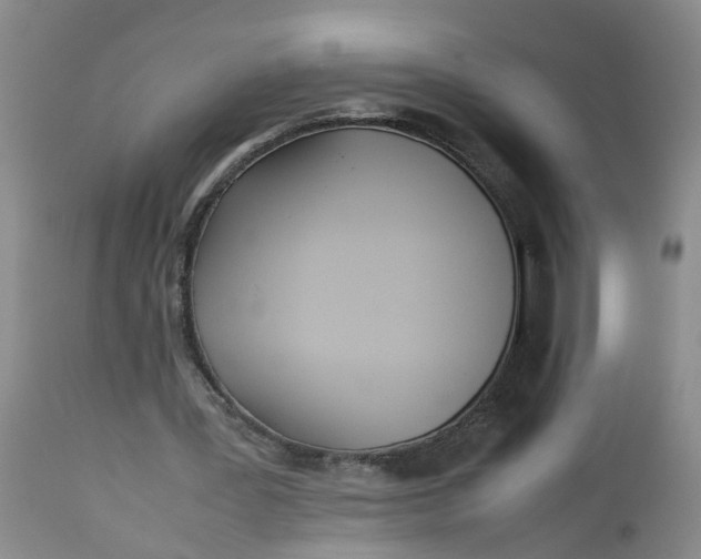 X0000113210387200910011325