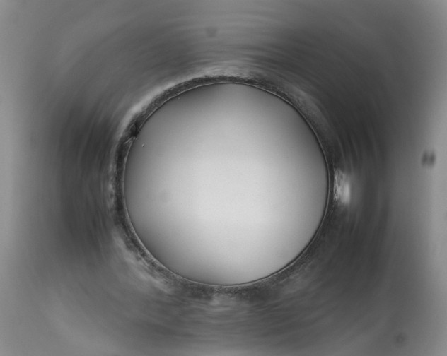 X0000113210388200910011325