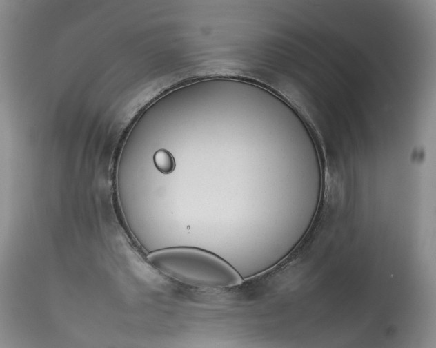 X0000113210389200910011325