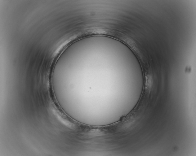 X0000113210390200910011325