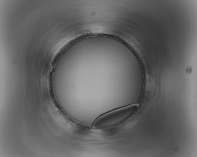 X0000113210391200910011325