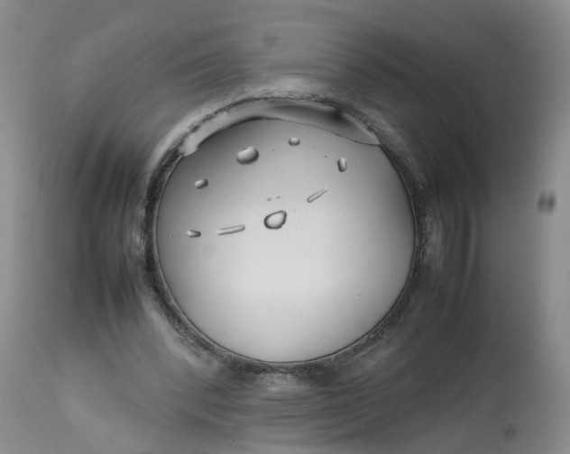 X0000113210392200910011325