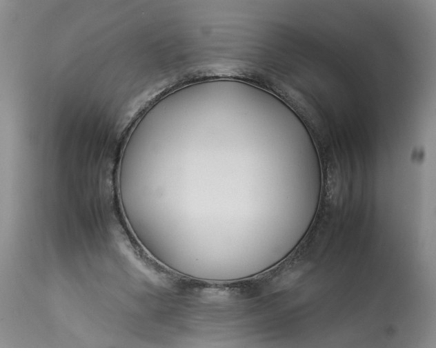 X0000113210394200910011325