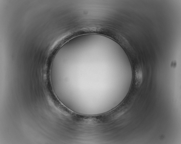 X0000113210396200910011325