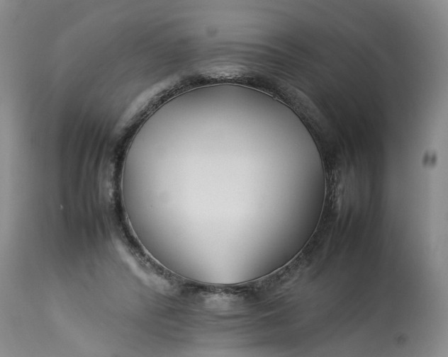 X0000113210400200910011325