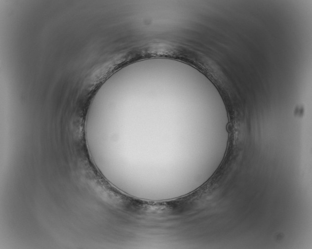 X0000113210401200910011325