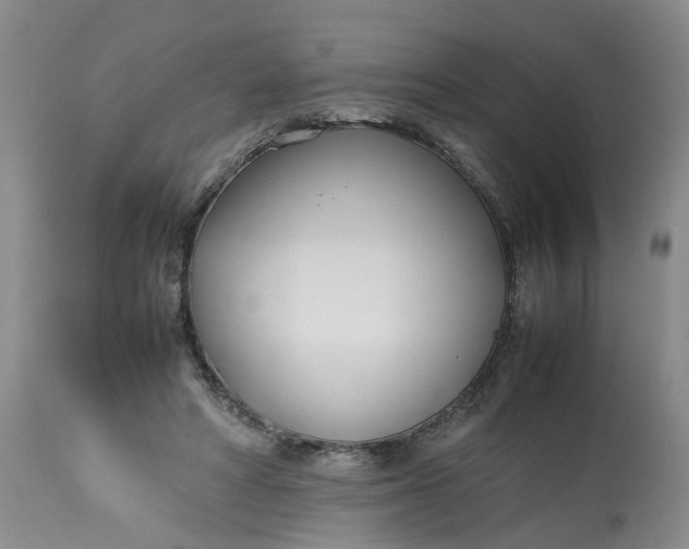 X0000113210402200910011325