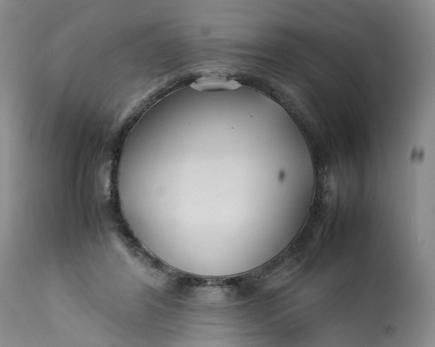 X0000113210404200910011325