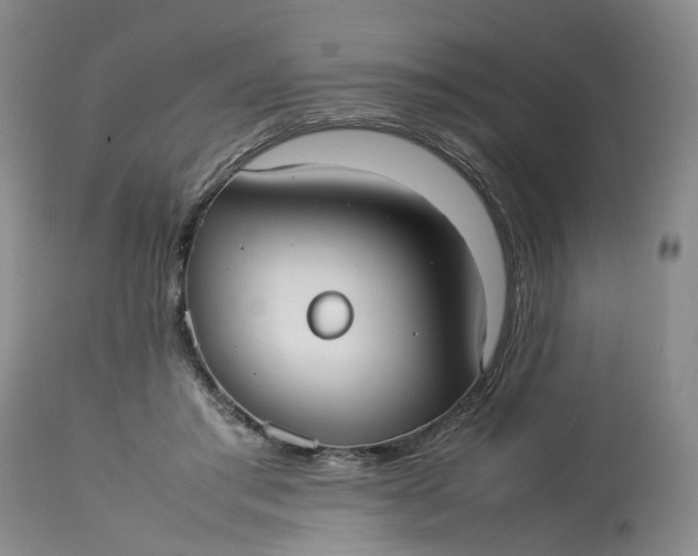 X0000113210405200910011325