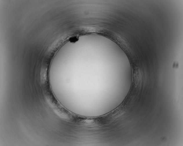 X0000113210406200910011325