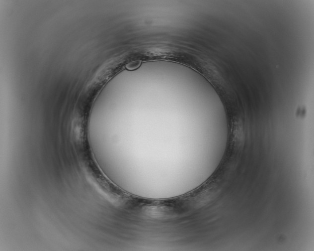 X0000113210408200910011325