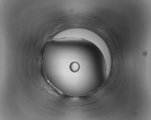 X0000113210409200910011325