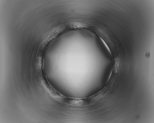 X0000113210410200910011325