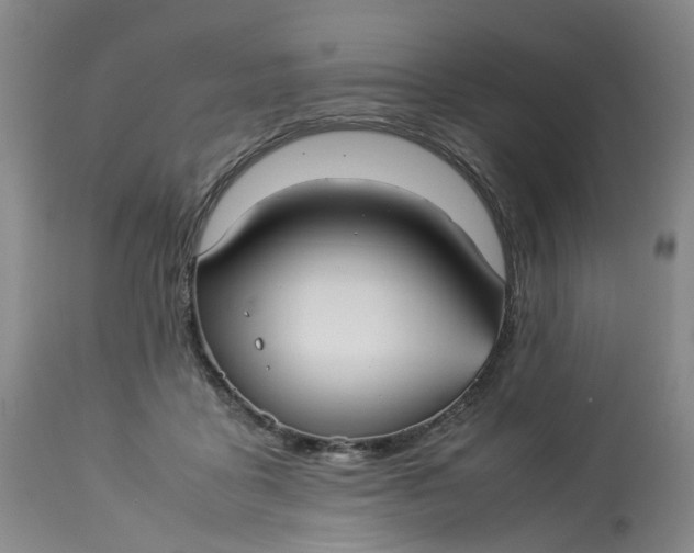 X0000113210411200910011325