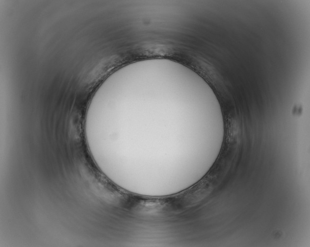 X0000113210414200910011325