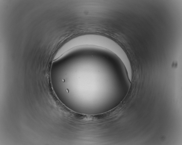 X0000113210415200910011325