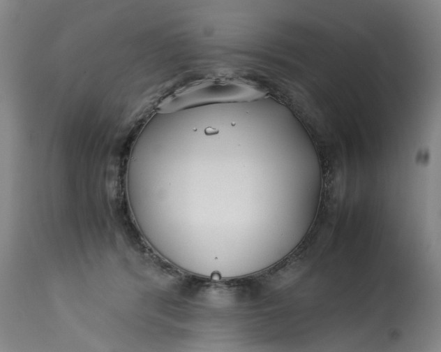 X0000113210416200910011325