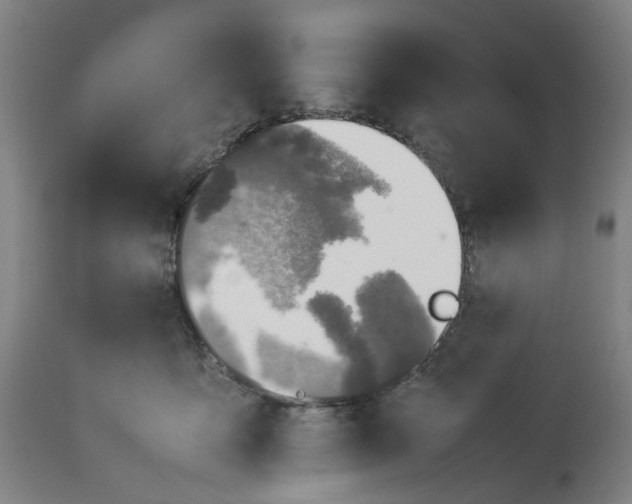 X0000113210419200910011325