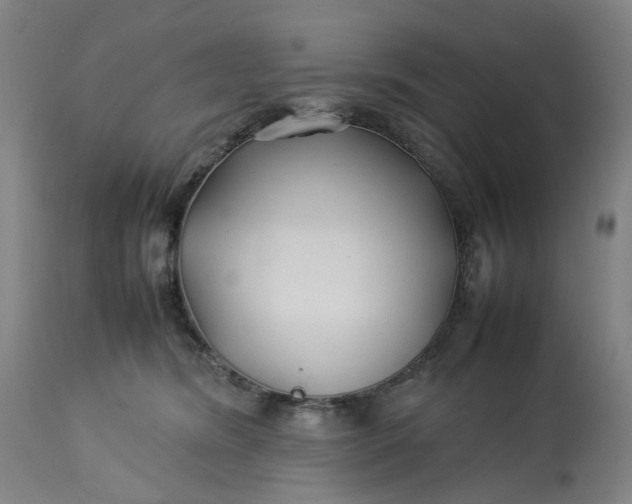 X0000113210420200910011325