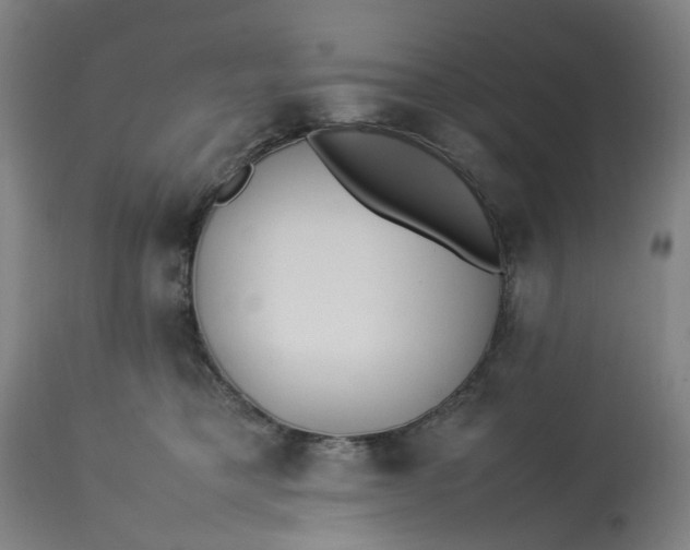 X0000113210421200910011325