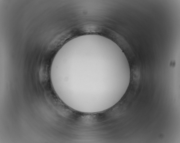 X0000113210422200910011325