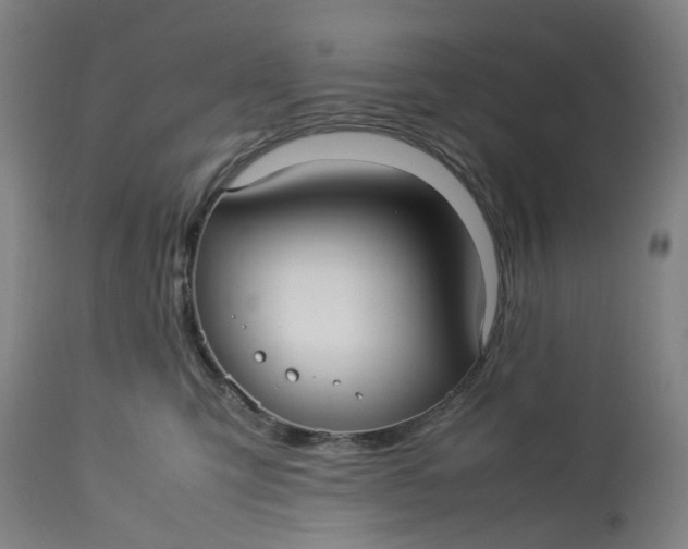 X0000113210423200910011325