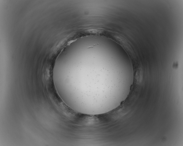 X0000113210424200910011324