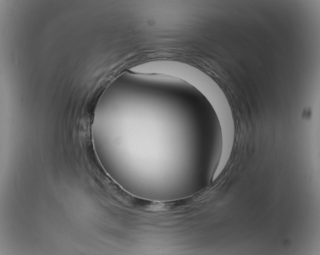 X0000113210425200910011324