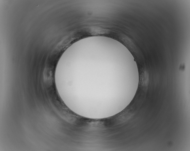 X0000113210426200910011324