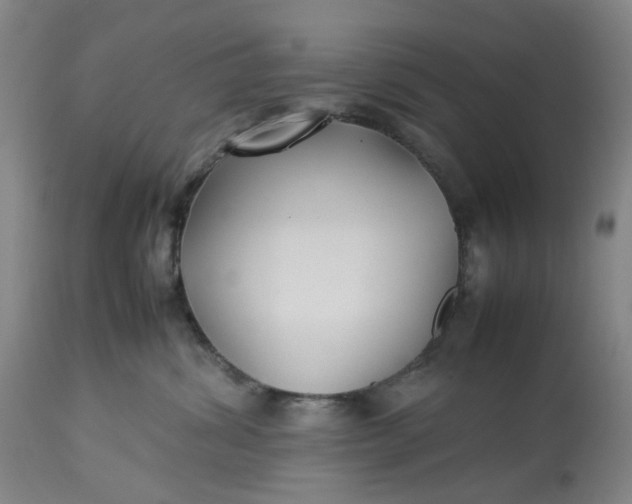 X0000113210428200910011324