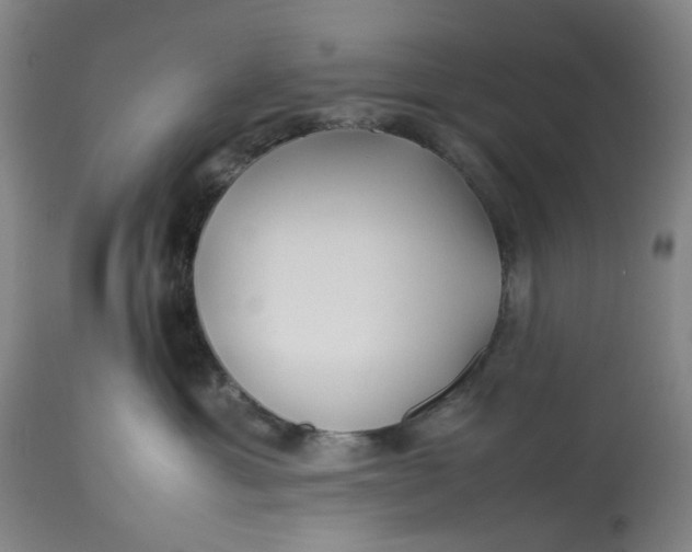 X0000113210429200910011324