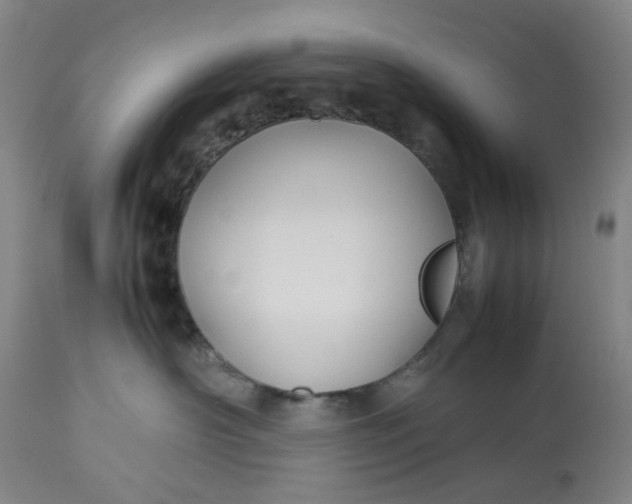 X0000113210430200910011324