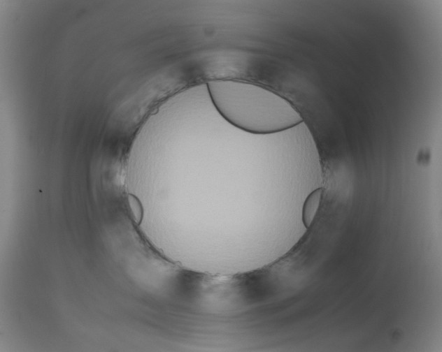 X0000113210431200910011324