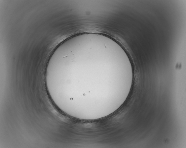 X0000113210433200910011323