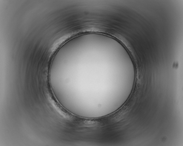 X0000113210437200910011323