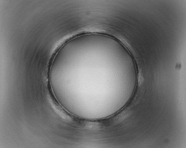 X0000113210438200910011323