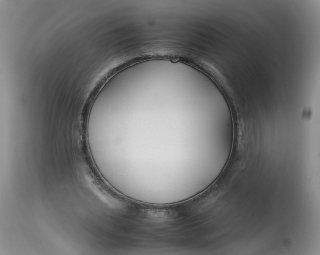 X0000113210439200910011323