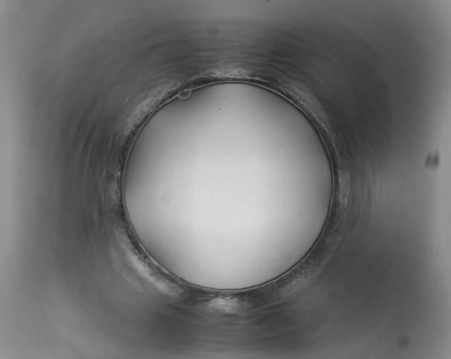 X0000113210441200910011323