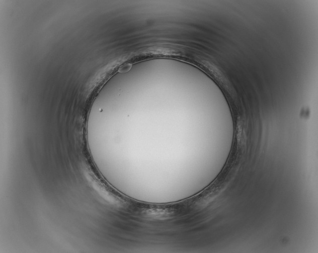 X0000113210445200910011324