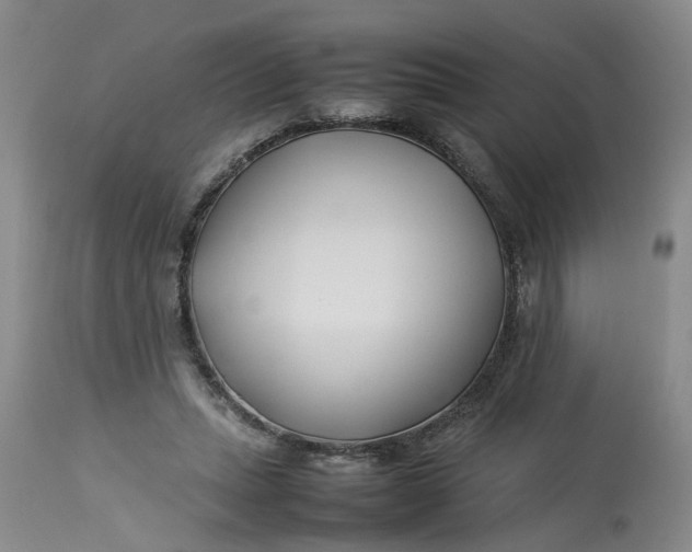 X0000113210447200910011324