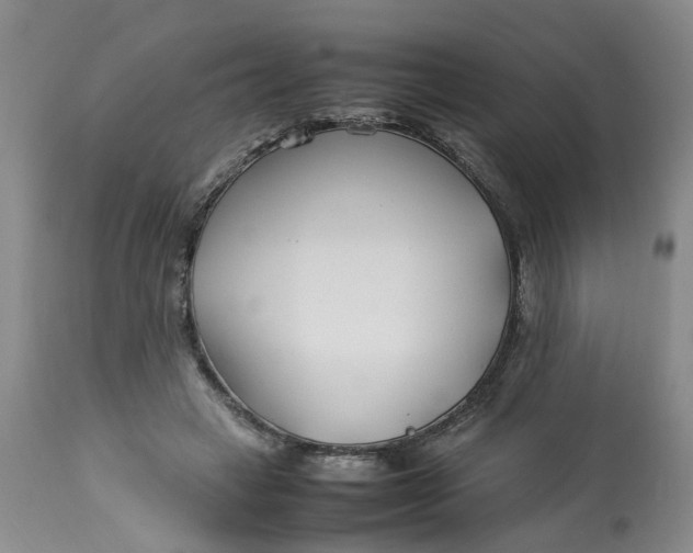 X0000113210449200910011324