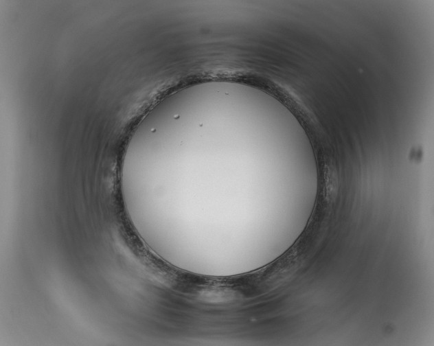 X0000113210451200910011324